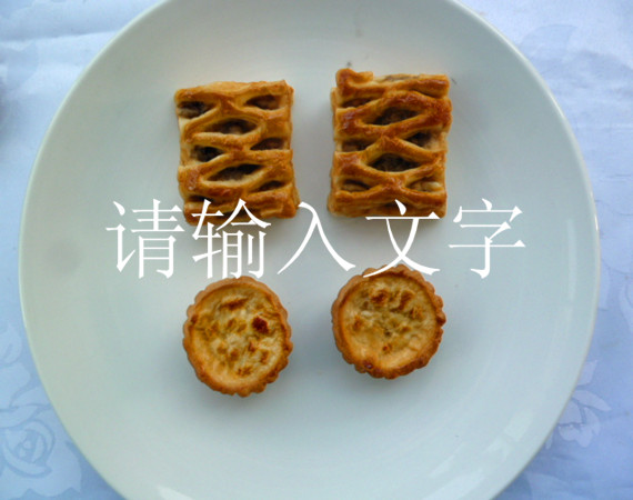 <b>假菜：餅干營養食品模型假菜</b>