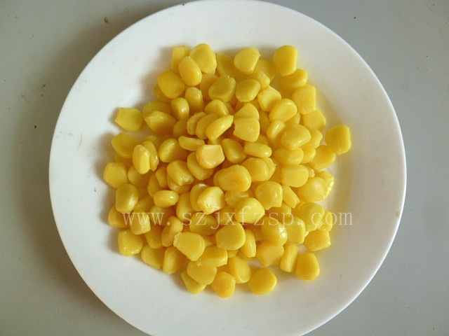 <b>營養模型 玉米粒營養食品模型</b>