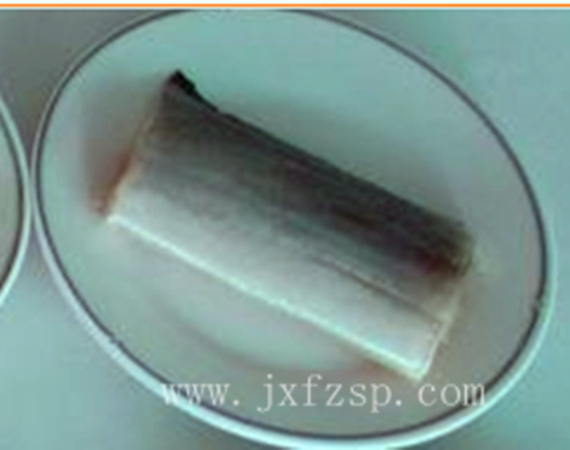 仿真食品模型 帶魚段仿真食品模型