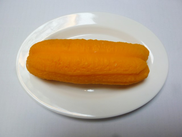 <b>假菜模型 仿真油條模型</b>